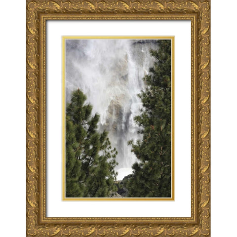 CA, Yosemite View o fYosemite Falls in March Gold Ornate Wood Framed Art Print with Double Matting by Noble Gardner, Nancy