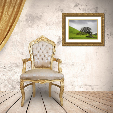 California An oak stands alone under clouds Gold Ornate Wood Framed Art Print with Double Matting by Paulson, Don