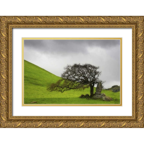 California An oak stands alone under clouds Gold Ornate Wood Framed Art Print with Double Matting by Paulson, Don
