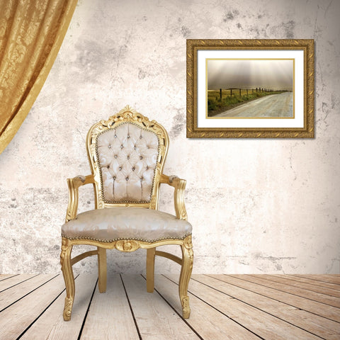 USA, California Country road lit by sun rays Gold Ornate Wood Framed Art Print with Double Matting by Paulson, Don