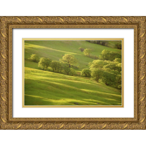 CA, Redwoods Sunrise on green sloping meadow Gold Ornate Wood Framed Art Print with Double Matting by Paulson, Don