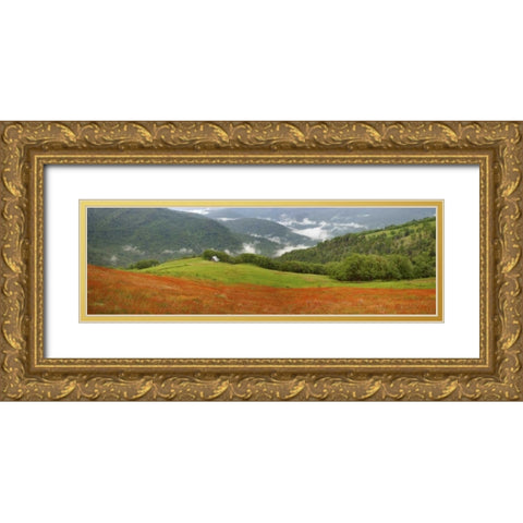 CA, Redwoods Mountain scenic with old barn Gold Ornate Wood Framed Art Print with Double Matting by Paulson, Don