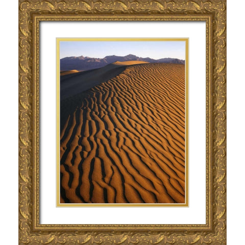 Patterns at Mesquite Sand dunes, Death Valley, CA Gold Ornate Wood Framed Art Print with Double Matting by Flaherty, Dennis