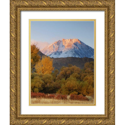 CA, Sierra Nevada, Owens Valley Basin Mountain Gold Ornate Wood Framed Art Print with Double Matting by Flaherty, Dennis