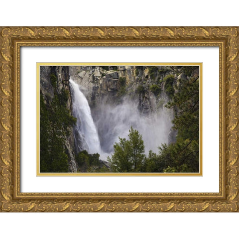 CA, Yosemite View of the Cascades waterfall Gold Ornate Wood Framed Art Print with Double Matting by Flaherty, Dennis