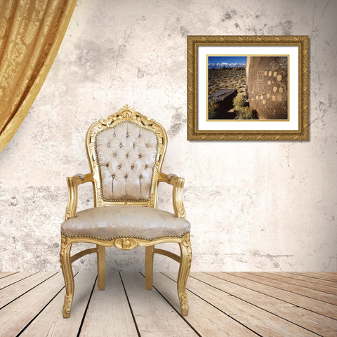 CA, Bishop, Sierra Mts Curvilinear petroglyphs Gold Ornate Wood Framed Art Print with Double Matting by Flaherty, Dennis