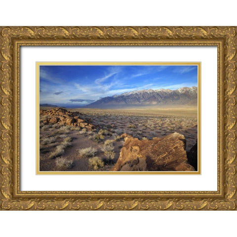 California Great Basin Abstract petroglyphs Gold Ornate Wood Framed Art Print with Double Matting by Flaherty, Dennis
