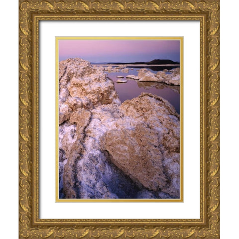 CA, Mono Lake reflections in south tufa area Gold Ornate Wood Framed Art Print with Double Matting by Flaherty, Dennis