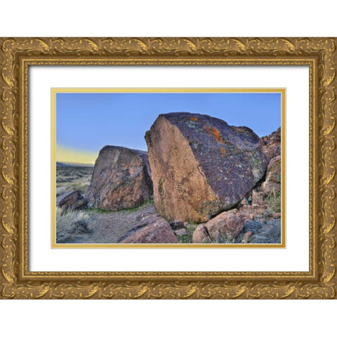 California, Owens Valley, Curvilinear petroglyphs Gold Ornate Wood Framed Art Print with Double Matting by Flaherty, Dennis