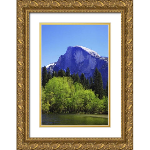 CA, Yosemite Half Dome rock and Merced River Gold Ornate Wood Framed Art Print with Double Matting by Flaherty, Dennis
