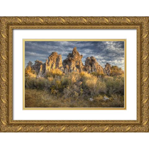 California, Mono Lake Sunrise on tufas and grass Gold Ornate Wood Framed Art Print with Double Matting by Carter, Jean