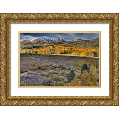 CA, Eastern Sierra Nevada from Conway Summit Gold Ornate Wood Framed Art Print with Double Matting by Carter, Jean