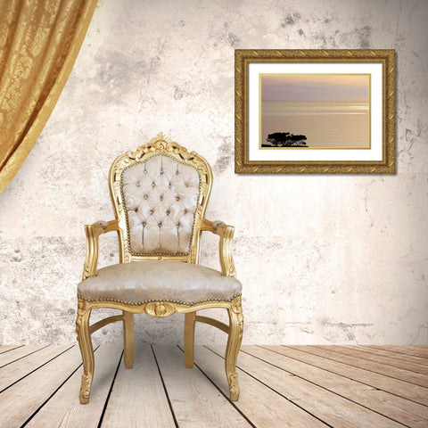 USA, California, La Jolla Sunset on ocean Gold Ornate Wood Framed Art Print with Double Matting by Paulson, Don