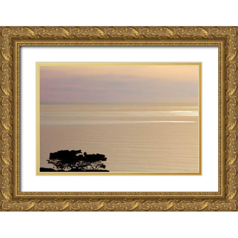 USA, California, La Jolla Sunset on ocean Gold Ornate Wood Framed Art Print with Double Matting by Paulson, Don