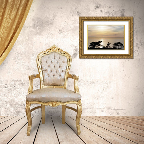 USA, California, La Jolla Sunset on ocean Gold Ornate Wood Framed Art Print with Double Matting by Paulson, Don