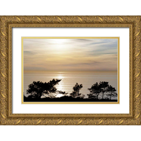 USA, California, La Jolla Sunset on ocean Gold Ornate Wood Framed Art Print with Double Matting by Paulson, Don