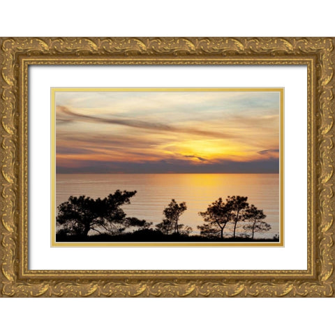 USA, California, La Jolla Sunset on ocean Gold Ornate Wood Framed Art Print with Double Matting by Paulson, Don