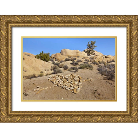 CA, Joshua Tree NP Stone heart pattern Gold Ornate Wood Framed Art Print with Double Matting by Paulson, Don