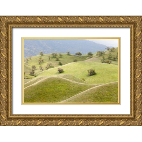 CA, Caliente Spring landscape Gold Ornate Wood Framed Art Print with Double Matting by Paulson, Don