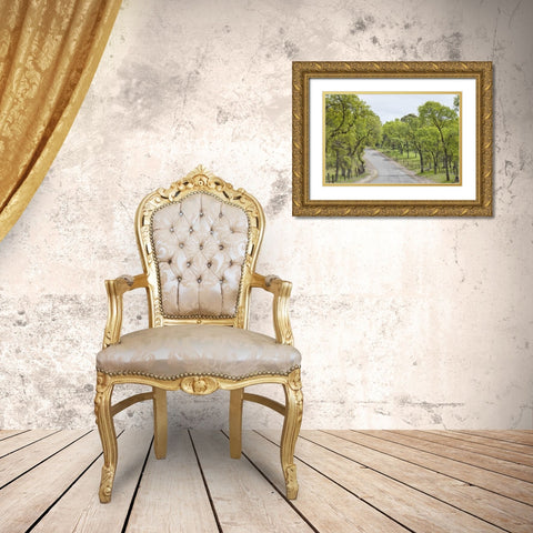 California, Chinese Camp Old Don Pedro Road Gold Ornate Wood Framed Art Print with Double Matting by Paulson, Don