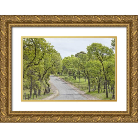 California, Chinese Camp Old Don Pedro Road Gold Ornate Wood Framed Art Print with Double Matting by Paulson, Don