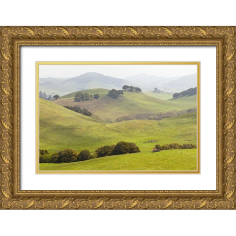 USA, California, Olema Landscape of farm fields Gold Ornate Wood Framed Art Print with Double Matting by Paulson, Don