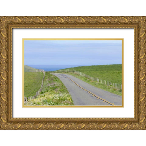 CA, Road through Point Reyes National Seashore Gold Ornate Wood Framed Art Print with Double Matting by Paulson, Don