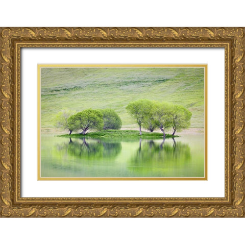 CA, Trees reflect in Black Butte Reservoir Gold Ornate Wood Framed Art Print with Double Matting by Paulson, Don
