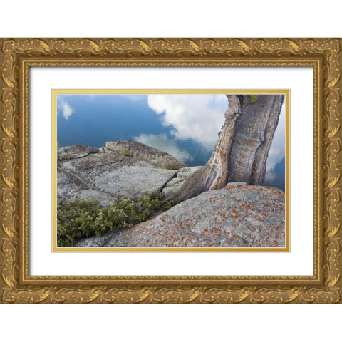 CA, Toiyabe NF Rocks and tree by Granite Lake Gold Ornate Wood Framed Art Print with Double Matting by Paulson, Don