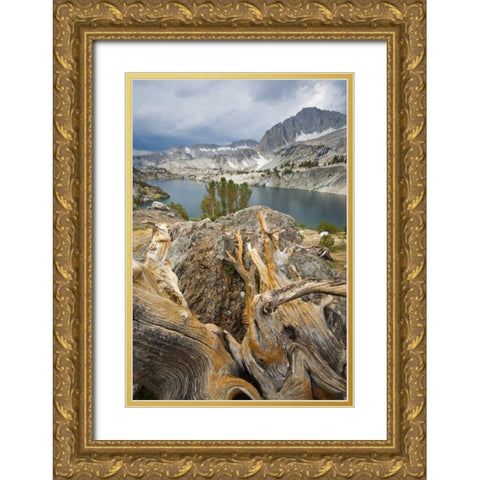 California, Inyo National Forest Steelhead Lake Gold Ornate Wood Framed Art Print with Double Matting by Paulson, Don