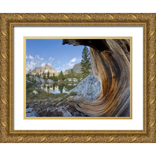 Perspective Image