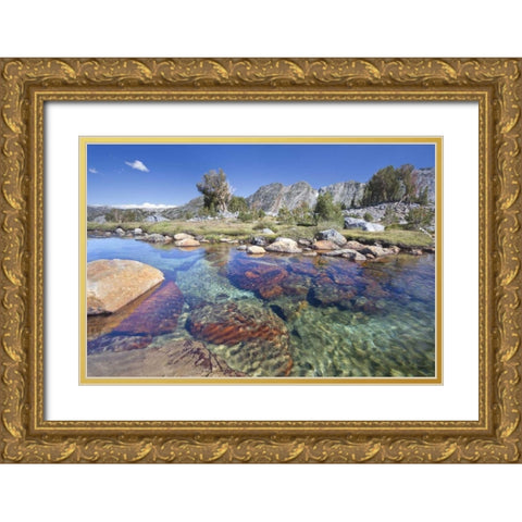 California, Inyo NF Clear stream by Garnet Lake Gold Ornate Wood Framed Art Print with Double Matting by Paulson, Don