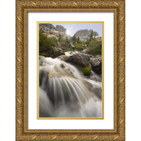 California, Inyo NF Stream flowing to Ediza Lake Gold Ornate Wood Framed Art Print with Double Matting by Paulson, Don