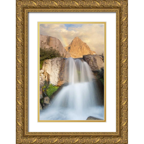 California, Inyo NF Waterfall below Mount Ritter Gold Ornate Wood Framed Art Print with Double Matting by Paulson, Don