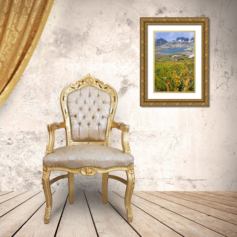 CA, Inyo NF Field of flowers and Nydiver Lake Gold Ornate Wood Framed Art Print with Double Matting by Paulson, Don