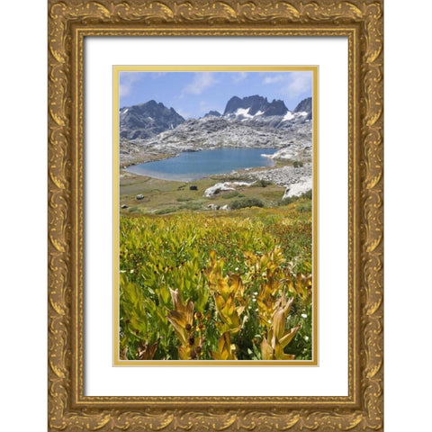 CA, Inyo NF Field of flowers and Nydiver Lake Gold Ornate Wood Framed Art Print with Double Matting by Paulson, Don