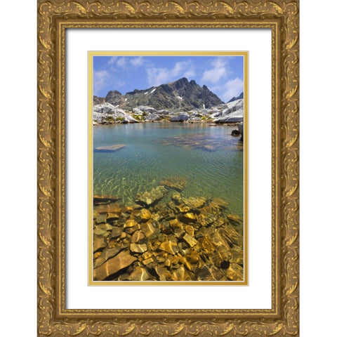 California, Inyo NF Tarn near Nydiver Lakes Gold Ornate Wood Framed Art Print with Double Matting by Paulson, Don