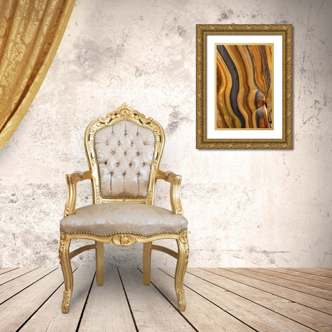California, Inyo NF Patterns in bristlecone pine Gold Ornate Wood Framed Art Print with Double Matting by Paulson, Don