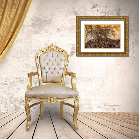 CA, Inyo NF Bristlecone pine cones Gold Ornate Wood Framed Art Print with Double Matting by Paulson, Don