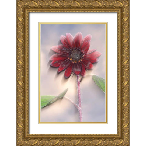 Hybrid sunflower blowing in the wind Gold Ornate Wood Framed Art Print with Double Matting by Talbot Frank, Christopher