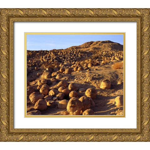 California, Anza-Borrego Desert Pumpkin Patch Gold Ornate Wood Framed Art Print with Double Matting by Talbot Frank, Christopher