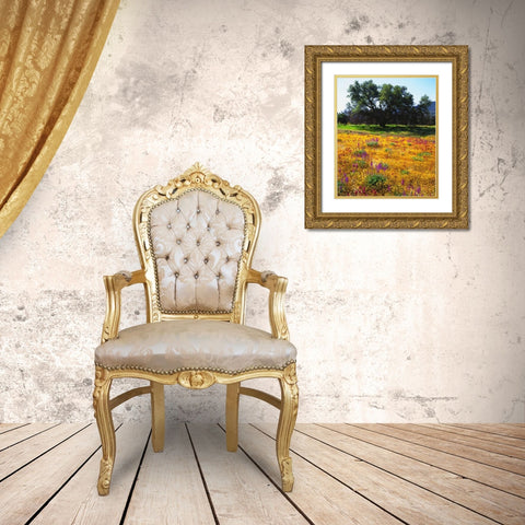 California, Cleveland NF Flowers blooming Gold Ornate Wood Framed Art Print with Double Matting by Talbot Frank, Christopher