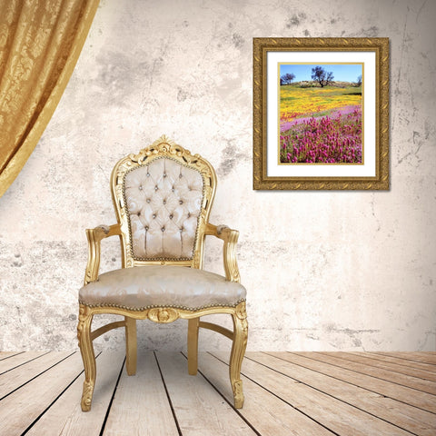 California, Cuyamaca Rancho SP Flower landscape Gold Ornate Wood Framed Art Print with Double Matting by Talbot Frank, Christopher