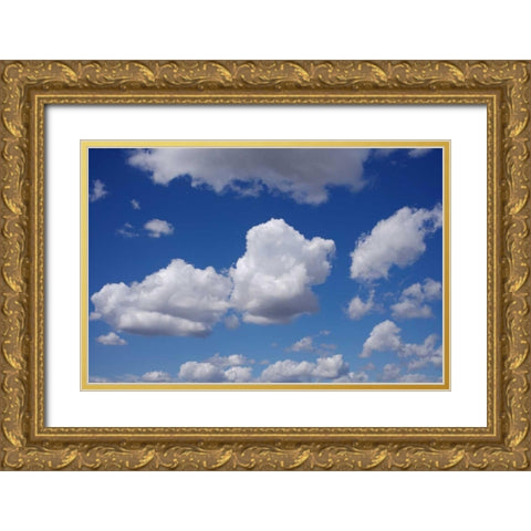 USA, California, San Diego, Clouds Gold Ornate Wood Framed Art Print with Double Matting by Talbot Frank, Christopher