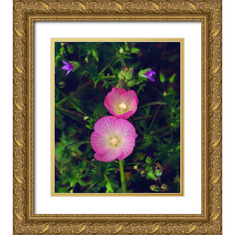 CA, San Diego, Mission Trails Checker Bloom Gold Ornate Wood Framed Art Print with Double Matting by Talbot Frank, Christopher