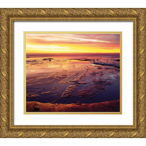 California, San Diego, Sunset Cliffs tide pools Gold Ornate Wood Framed Art Print with Double Matting by Talbot Frank, Christopher