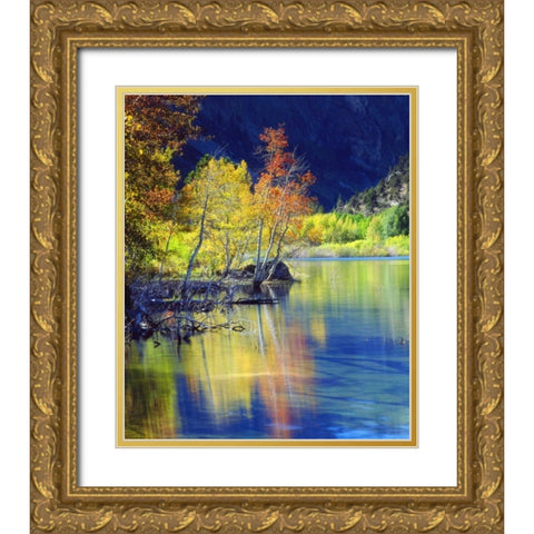 CA, Sierra Nevada, Aspen tree by Grant Lake Gold Ornate Wood Framed Art Print with Double Matting by Talbot Frank, Christopher
