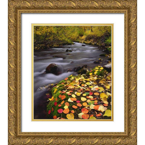 CA, Sierra Nevada, Autumn along McGee Creek Gold Ornate Wood Framed Art Print with Double Matting by Talbot Frank, Christopher
