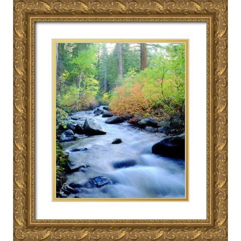 CA, Sierra Nevada, Autumn at Lee Vining Creek Gold Ornate Wood Framed Art Print with Double Matting by Talbot Frank, Christopher