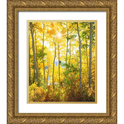 California, Sierra Nevada, Fall colors of Aspens Gold Ornate Wood Framed Art Print with Double Matting by Talbot Frank, Christopher